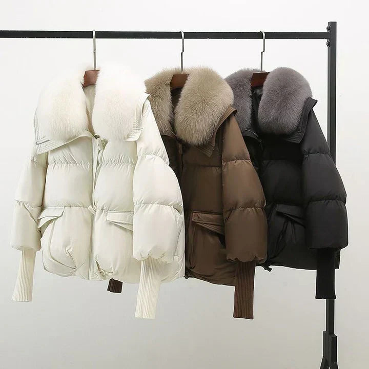 Warm Padded Jacket With Wide Collar For Women | Caldrisse