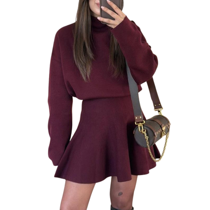 Bloomsbury Half High Neck Knit Sweater Dress For Women | Merylle