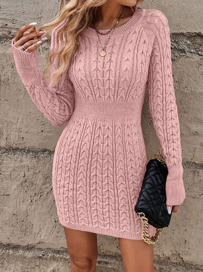 Unique Bodycon Round Neck Sweater Dress For Women | Elamira