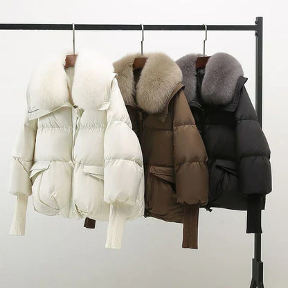 Warm Padded Jacket With Wide Collar For Women | Caldrisse