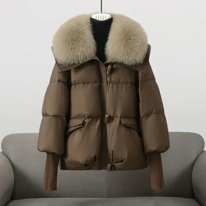 Warm Padded Jacket With Wide Collar For Women | Caldrisse